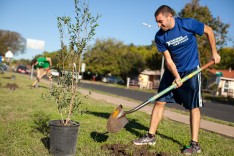 YLS comes together to plant trees