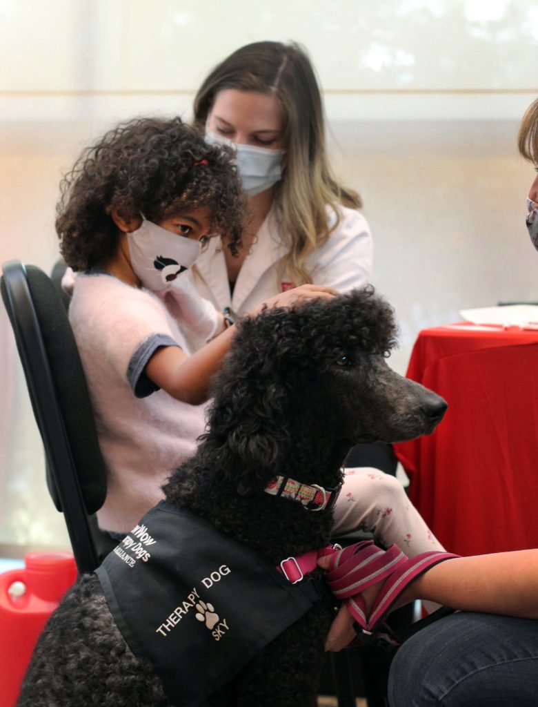 A young girl getting vaccinated pets a therapy dog