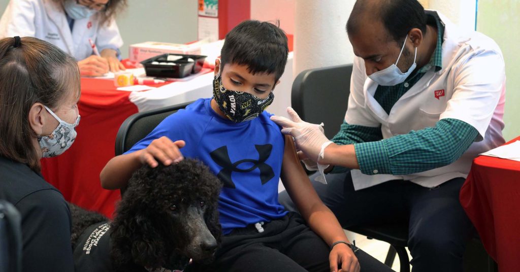 a boy getting vaccinated pets a therapy dog